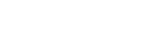 Iris International