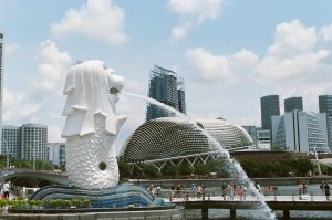 Types of company in Singapore