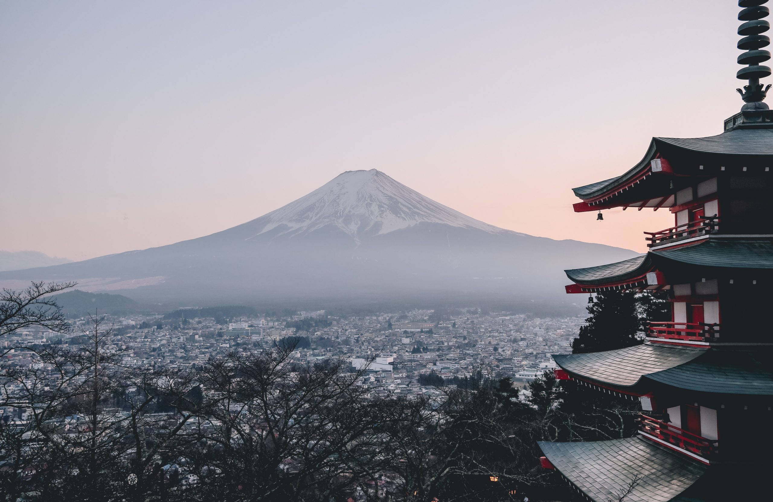Business types in Japan